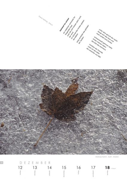 Kalenderblatt 50 (Text: Diana Hellwig, Foto: Andreas Kuhrt) . Literaturkalender "Thüringer Ansichten 2005"