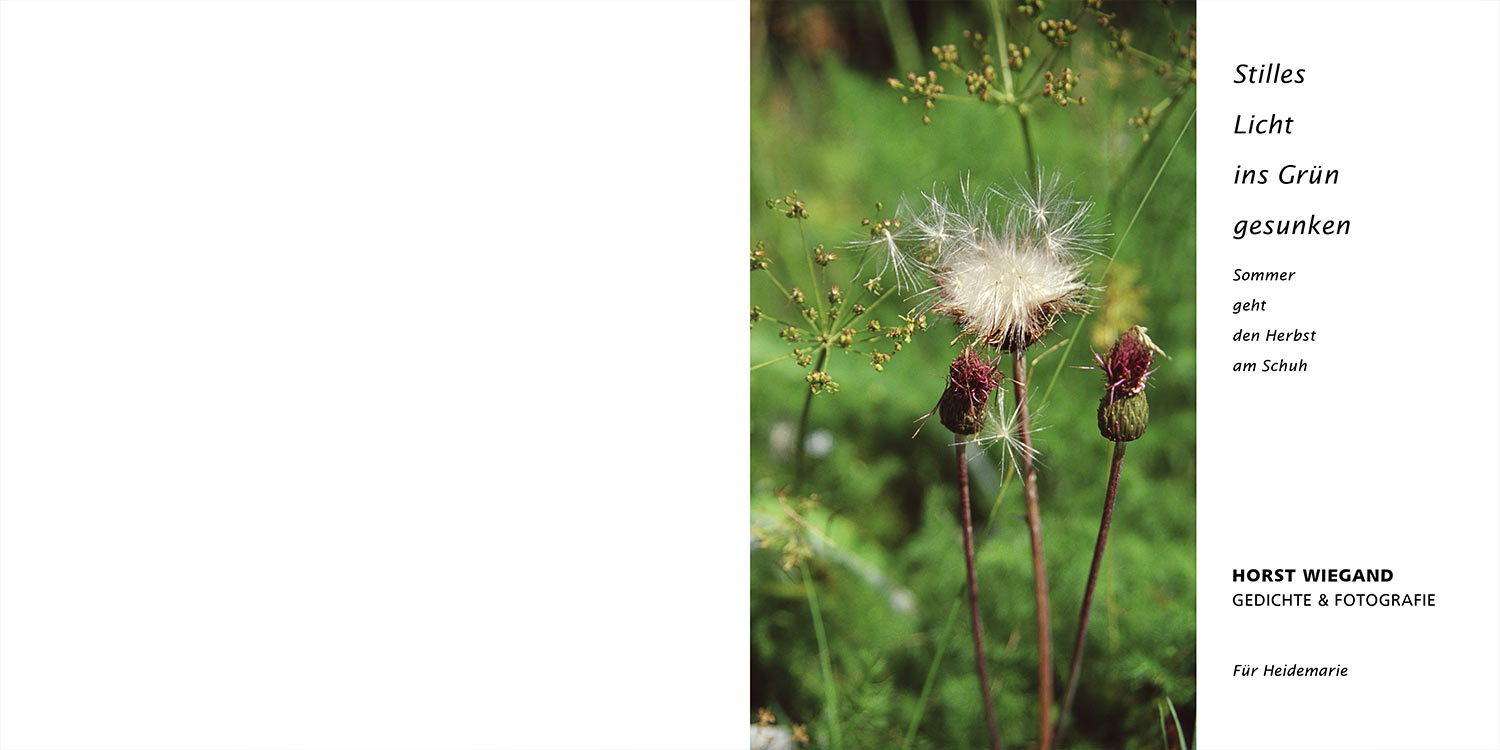 Titelseite . Horst Wiegand "Stilles Licht ins Grün gesunken" . Gedichte & Fotografie . 2010