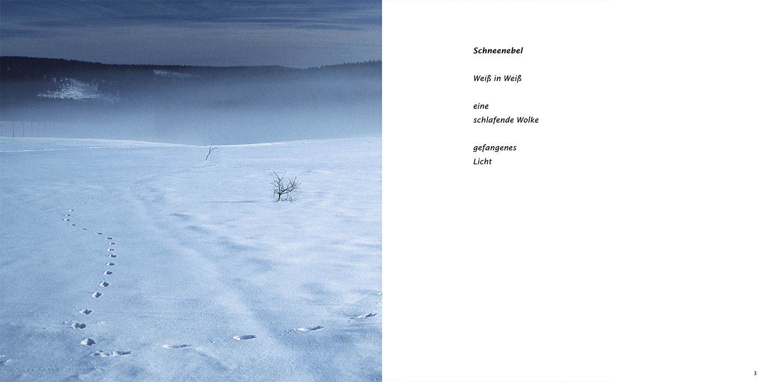 "Schneenebel" . Horst Wiegand "Stilles Licht ins Grün gesunken" . Gedichte & Fotografie . 2010