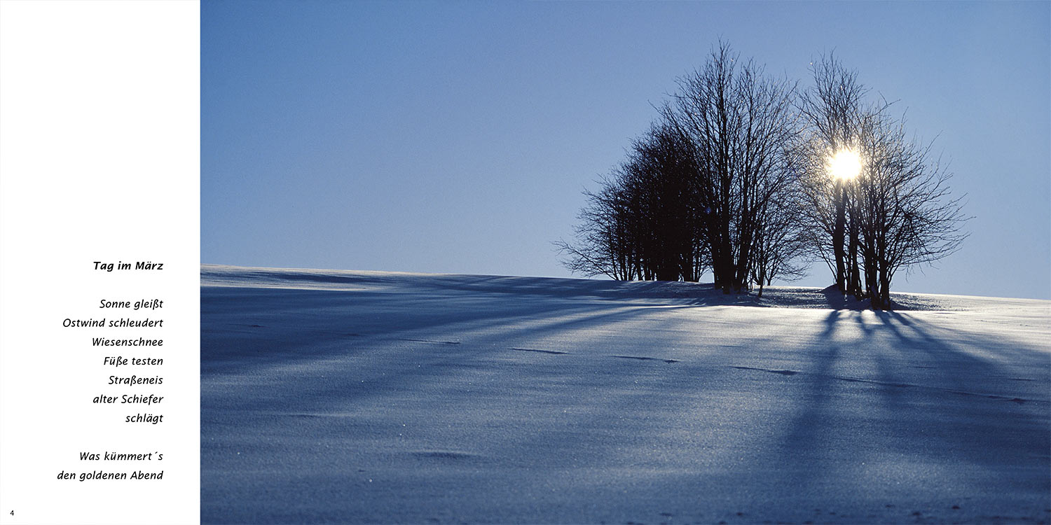 "Tag im März" . Horst Wiegand "Stilles Licht ins Grün gesunken" . Gedichte & Fotografie . 2010