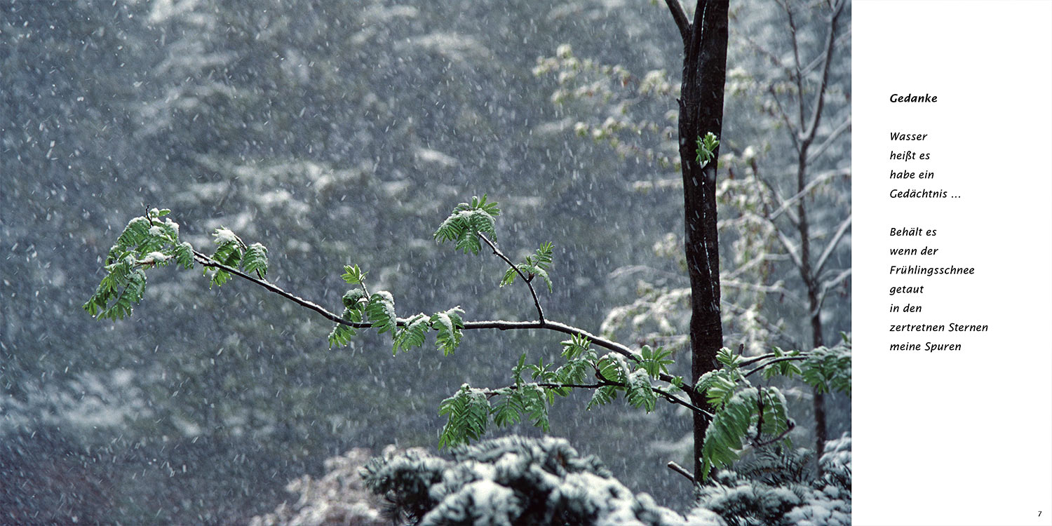 "Gedanke" . Horst Wiegand "Stilles Licht ins Grün gesunken" . Gedichte & Fotografie . 2010