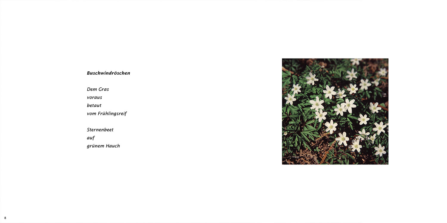 "Buschwindröschen" . Horst Wiegand "Stilles Licht ins Grün gesunken" . Gedichte & Fotografie . 2010