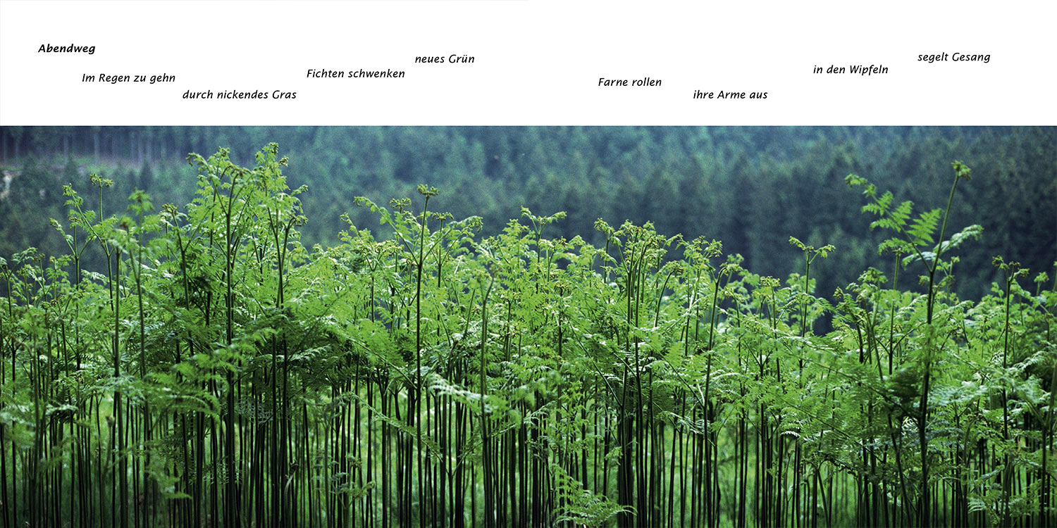 "Abendweg" . Horst Wiegand "Stilles Licht ins Grün gesunken" . Gedichte & Fotografie . 2010