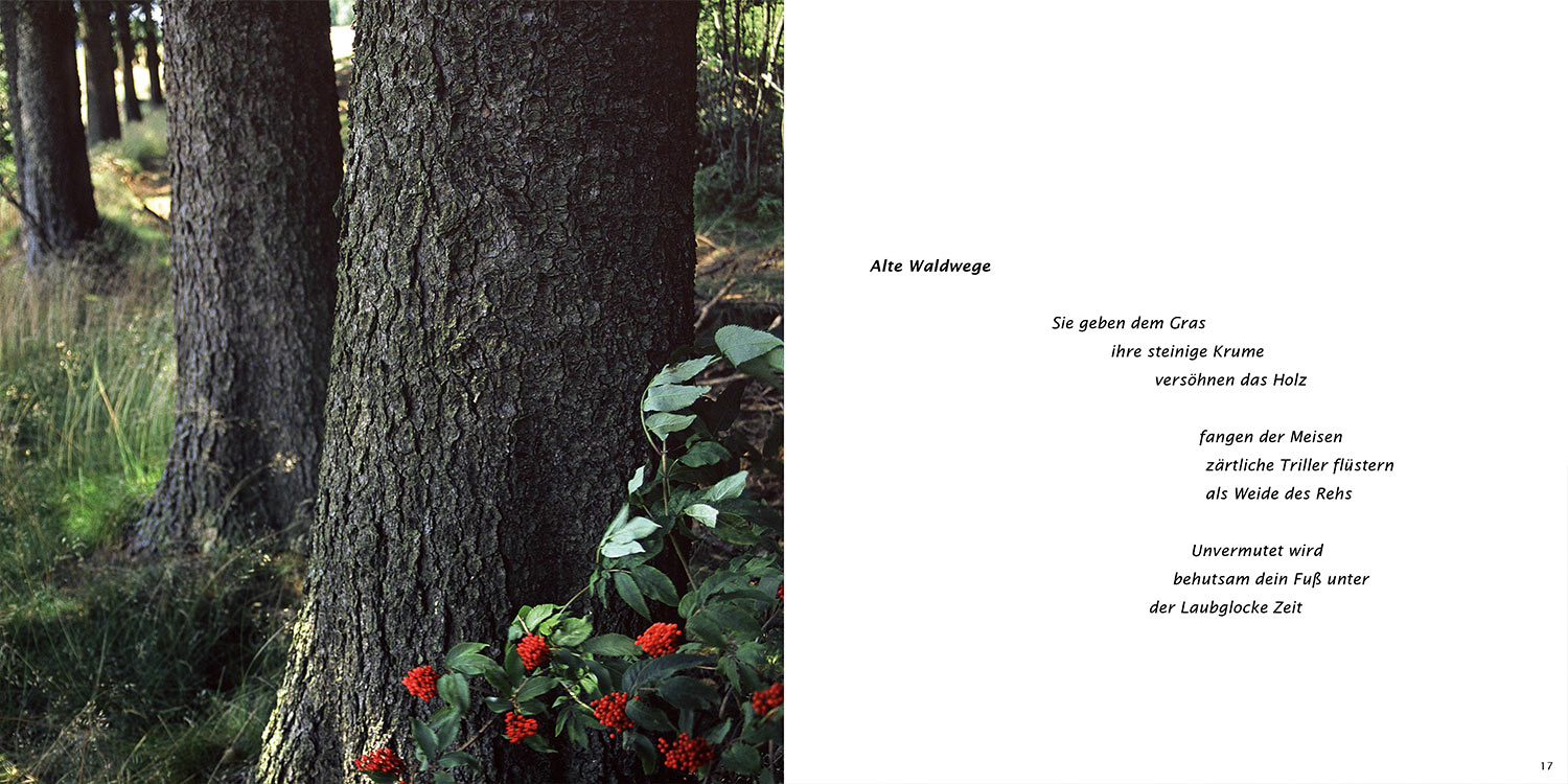 "Alte Waldwege" . Horst Wiegand "Stilles Licht ins Grün gesunken" . Gedichte & Fotografie . 2010