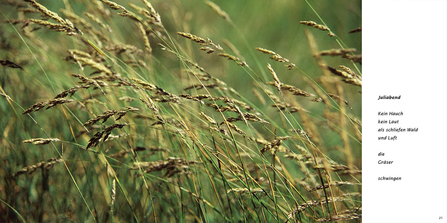 "Juliabend" . Horst Wiegand "Stilles Licht ins Grün gesunken" . Gedichte & Fotografie . 2010