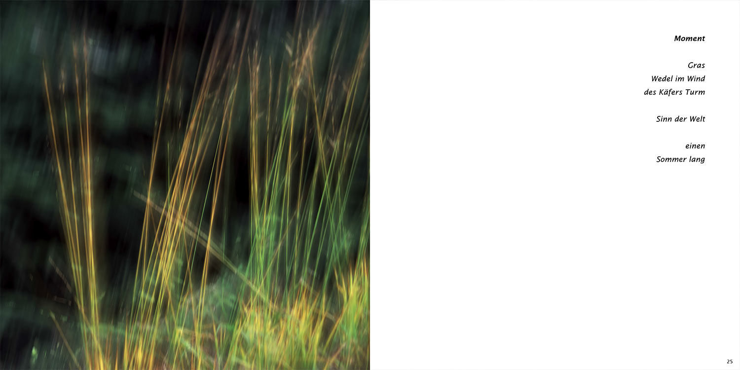 "Moment" . Horst Wiegand "Stilles Licht ins Grün gesunken" . Gedichte & Fotografie . 2010