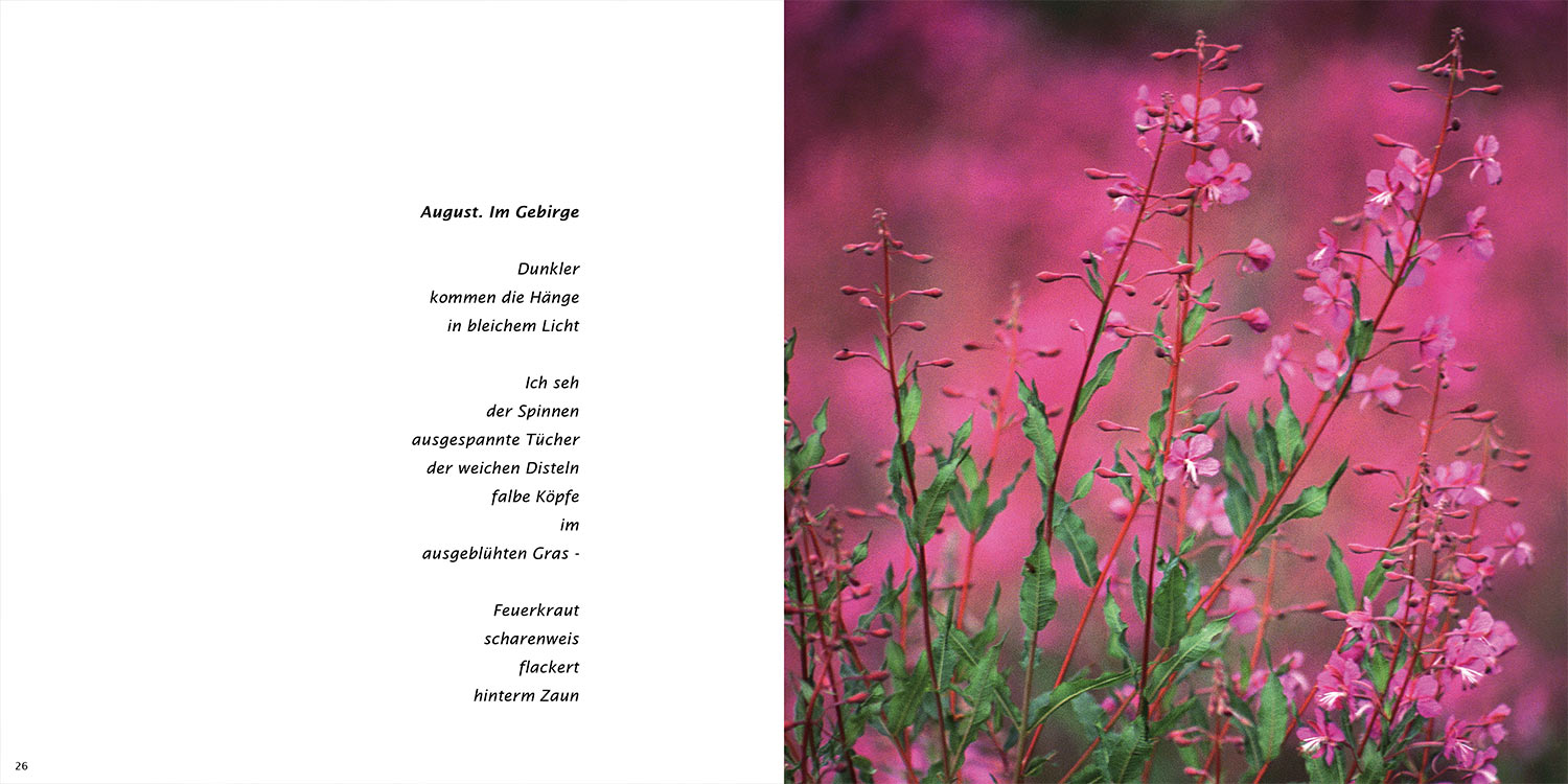 "August. Im Gebirge" . Horst Wiegand "Stilles Licht ins Grün gesunken" . Gedichte & Fotografie . 2010