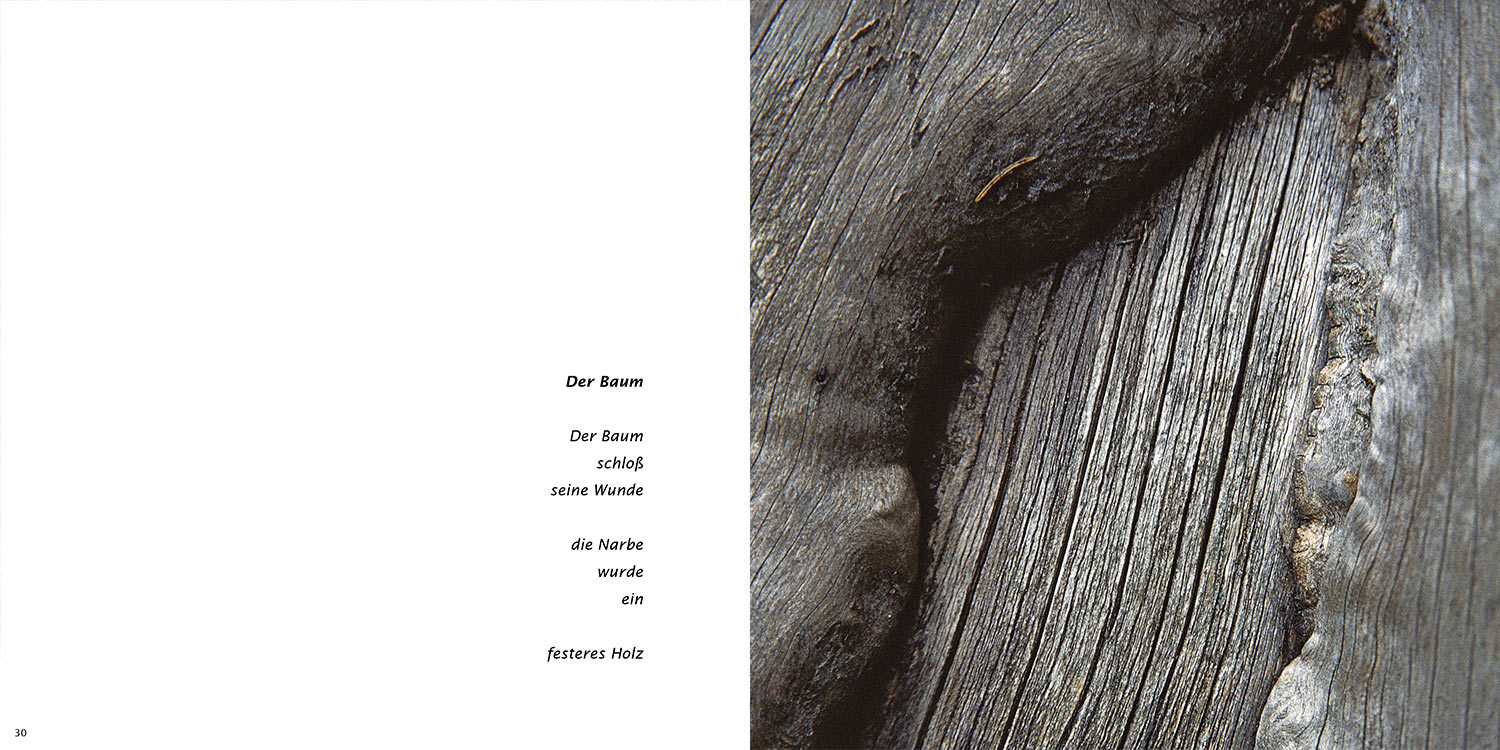 "Der Baum" . Horst Wiegand "Stilles Licht ins Grün gesunken" . Gedichte & Fotografie . 2010