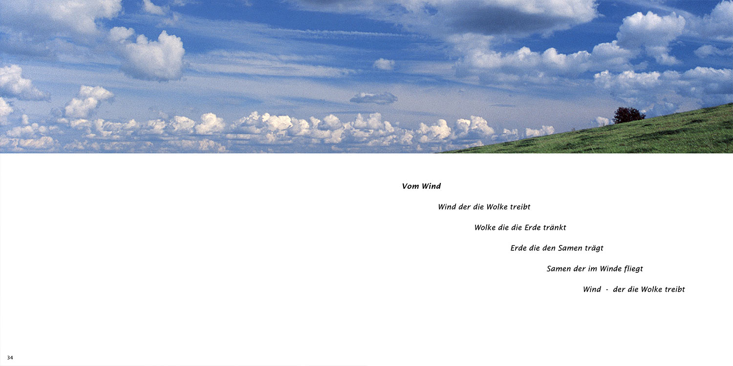 "Vom Wind" . Horst Wiegand "Stilles Licht ins Grün gesunken" . Gedichte & Fotografie . 2010