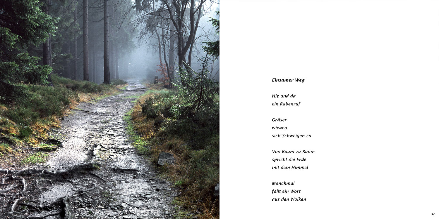 "Einsamer Weg" . Horst Wiegand "Stilles Licht ins Grün gesunken" . Gedichte & Fotografie . 2010