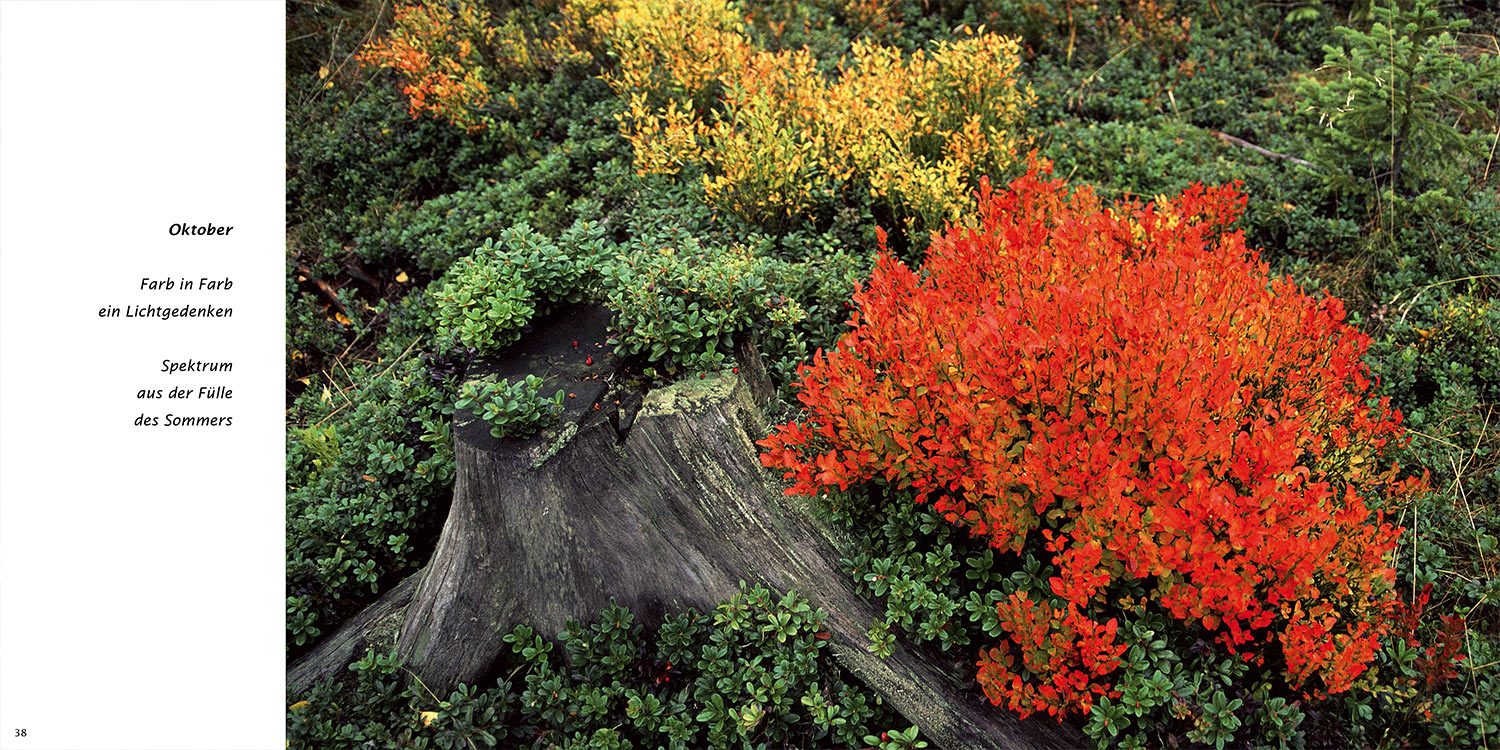 "Oktober" . Horst Wiegand "Stilles Licht ins Grün gesunken" . Gedichte & Fotografie . 2010