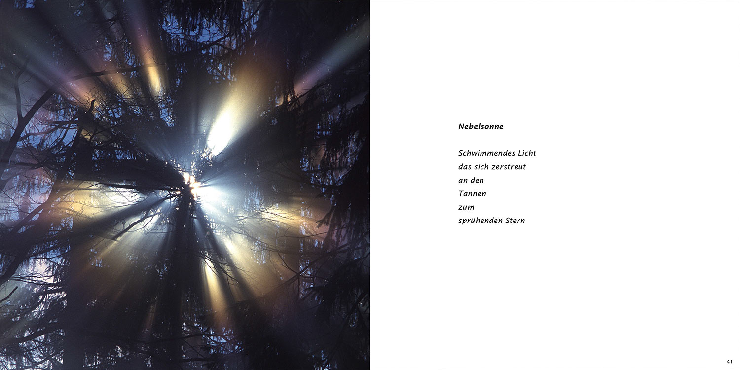 "Nebelsonne" . Horst Wiegand "Stilles Licht ins Grün gesunken" . Gedichte & Fotografie . 2010
