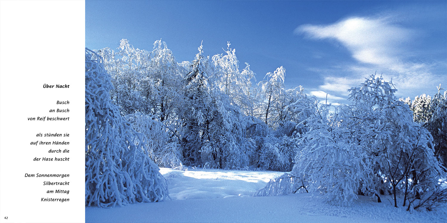 "Über Nacht" . Horst Wiegand "Stilles Licht ins Grün gesunken" . Gedichte & Fotografie . 2010