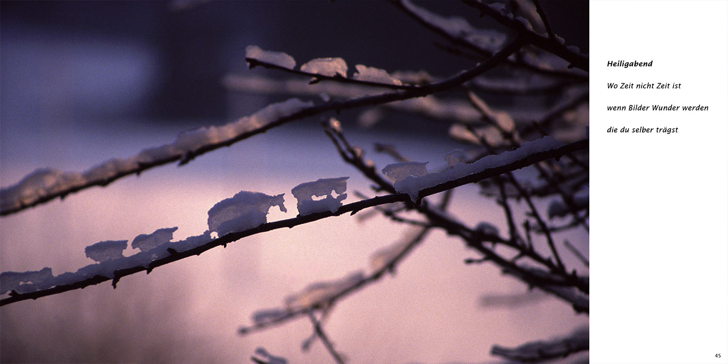 "Heiligabend" . Horst Wiegand "Stilles Licht ins Grün gesunken" . Gedichte & Fotografie . 2010