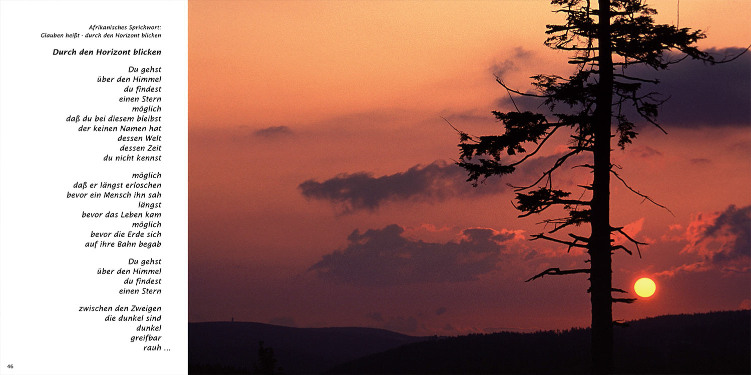 "Durch den Horizont blicken" . Horst Wiegand "Stilles Licht ins Grün gesunken" . Gedichte & Fotografie . 2010