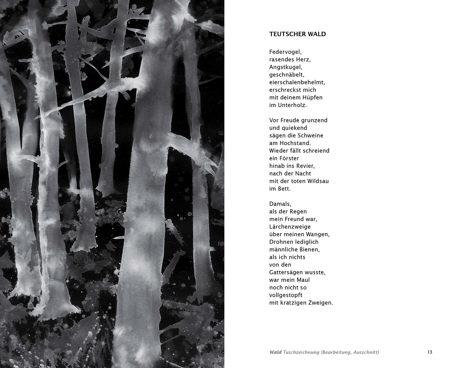 "Teutscher Wald" . Tusche "Wald" . Harald Lindig "Vorauseilende Abschiede" Ungereimtes . mit Grafiken von Frank Rothämel . 2012