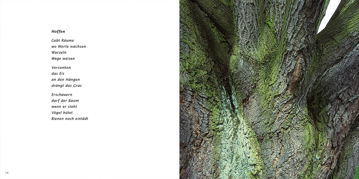 "Hoffen" . Horst Wiegand "Wo der Berg nicht aufhört" . Gedichte & Fotografie . 2013