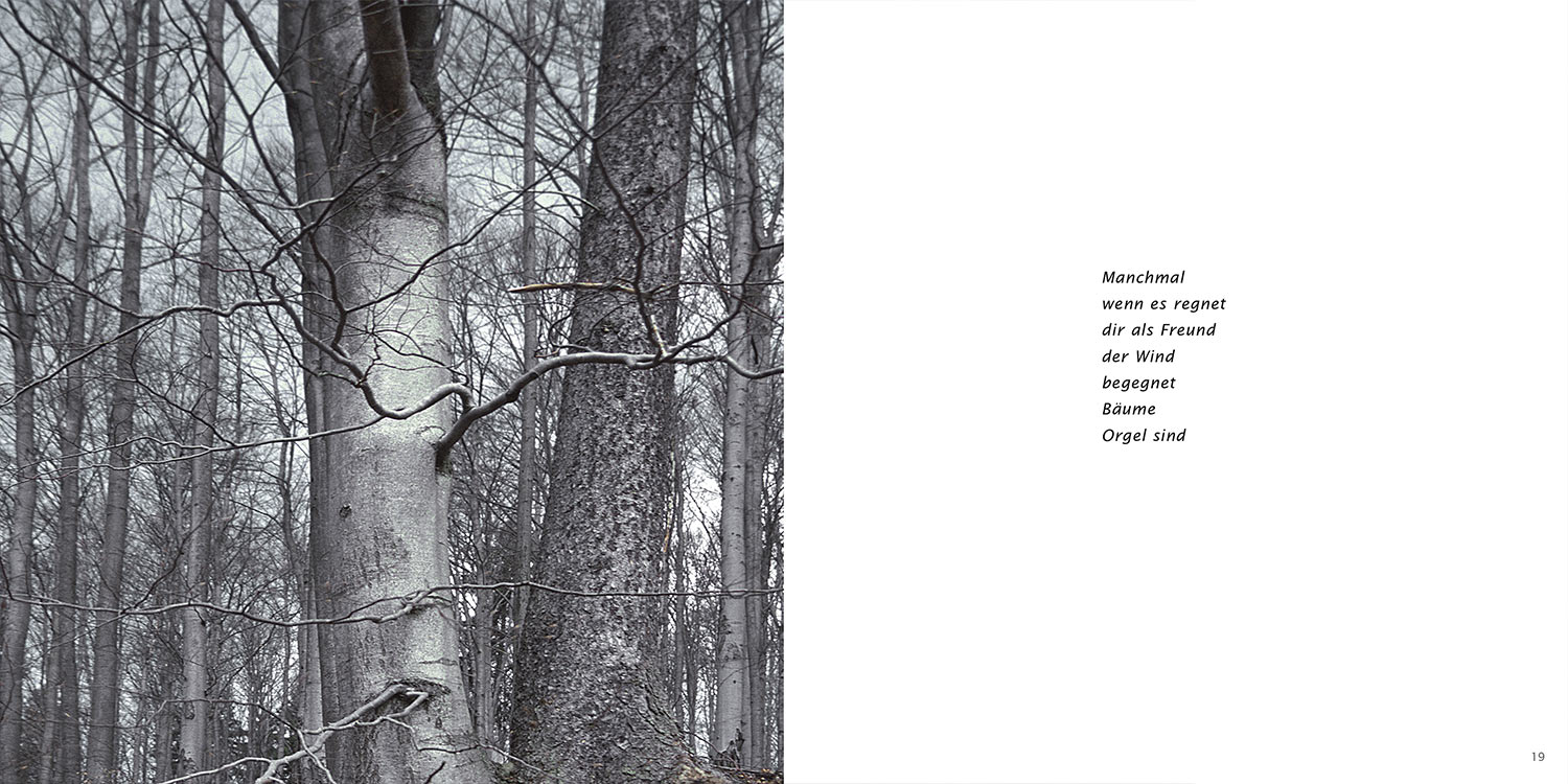 "Manchmal" . Horst Wiegand "Wo der Berg nicht aufhört" . Gedichte & Fotografie . 2013