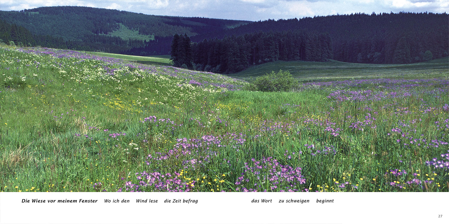"Die Wiese vor meinem Fenster" . Horst Wiegand "Wo der Berg nicht aufhört" . Gedichte & Fotografie . 2013