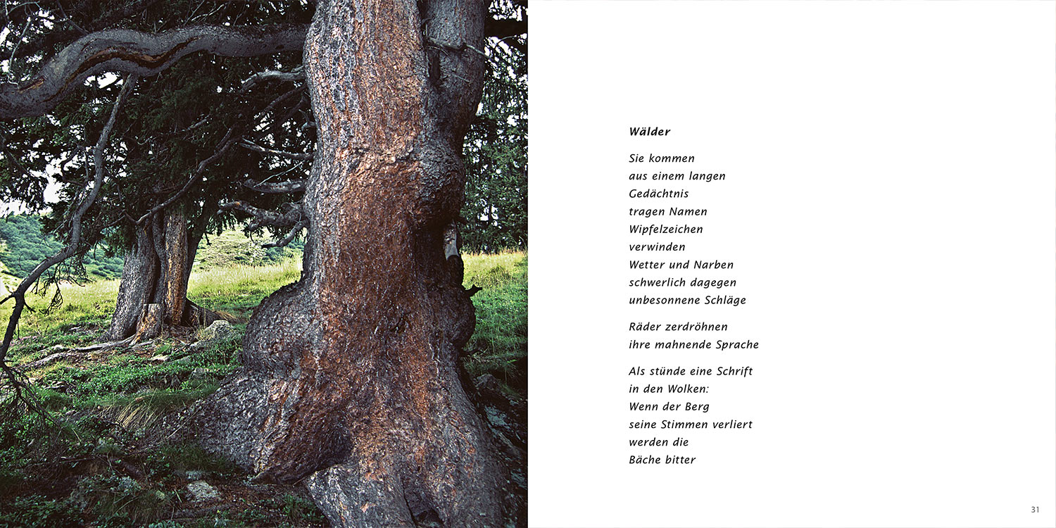 "Wälder" . Horst Wiegand "Wo der Berg nicht aufhört" . Gedichte & Fotografie . 2013