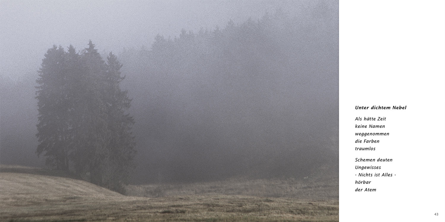 "Unter dichtem Nebel" . Horst Wiegand "Wo der Berg nicht aufhört" . Gedichte & Fotografie . 2013