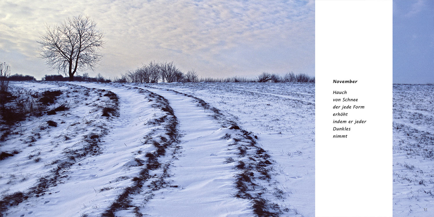 "November" . Horst Wiegand "Wo der Berg nicht aufhört" . Gedichte & Fotografie . 2013