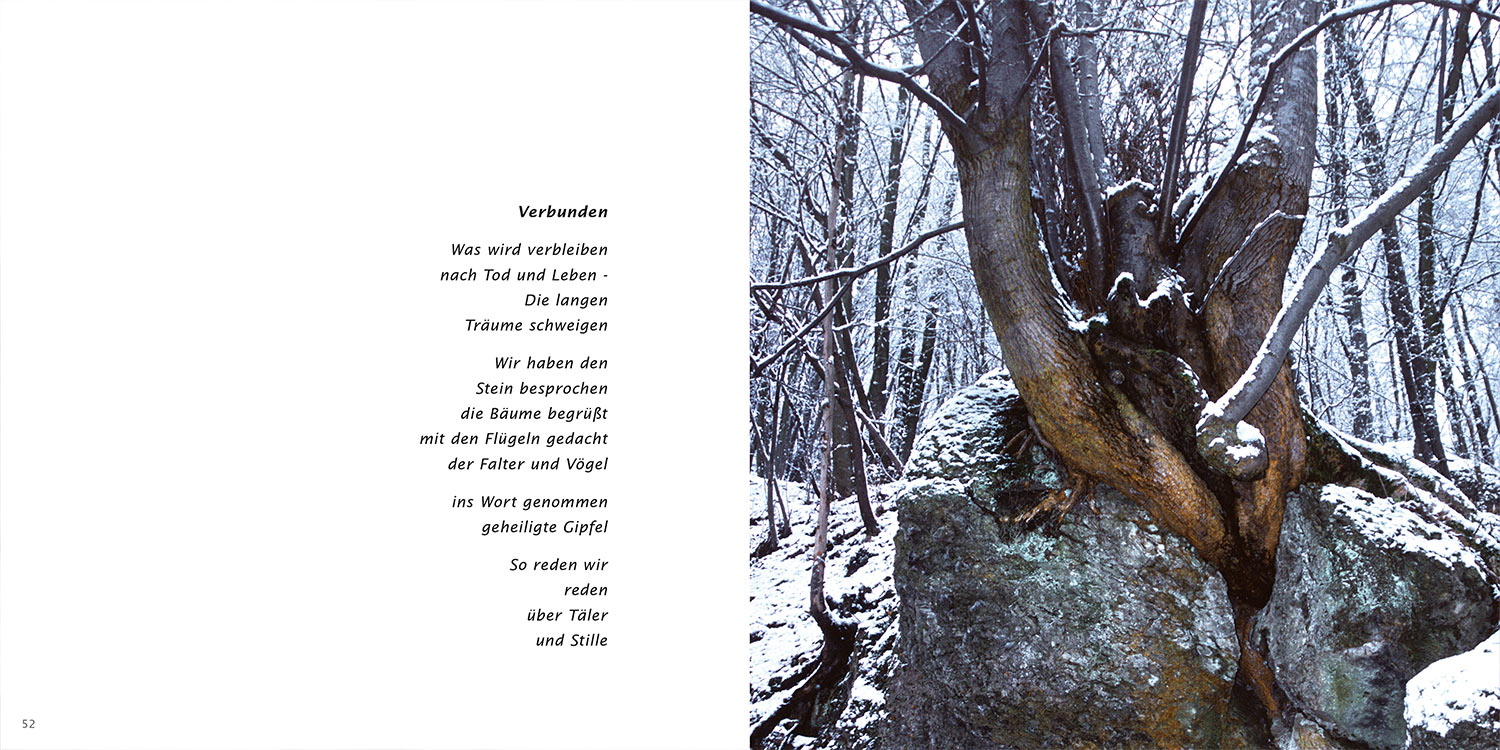 "Verbunden" . Horst Wiegand "Wo der Berg nicht aufhört" . Gedichte & Fotografie . 2013
