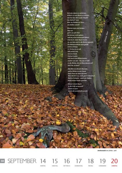 Kalenderblatt 38 (Text: Ulf Annel, Foto: Ute Zohles) . Literaturkalender "Thüringer Ansichten 2015" . Südthüringer Literaturverein (Kalender Gestaltung: Edition Sinnbild Designakut 2014)