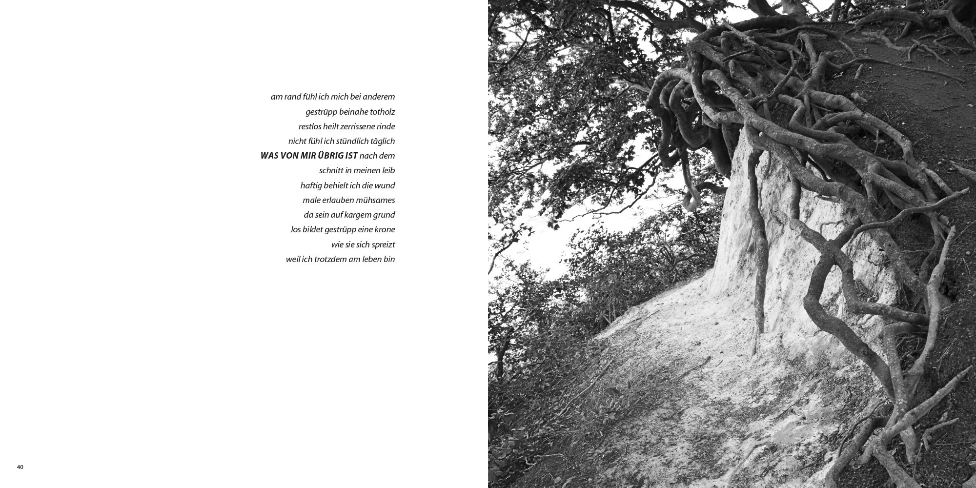 Zauber Zeichen: Was von mir übrig ist . Ursula Schütt Texte . Günter Giese Fotografie (Gestaltung: Edition Sinnbild Designakut 2017)