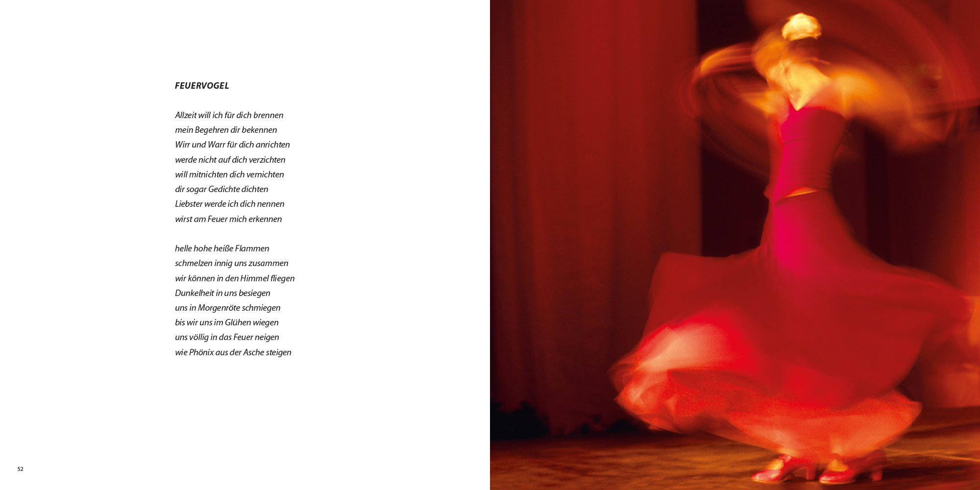 Zauber Zeichen: Feuervogel . Ursula Schütt Texte . Günter Giese Fotografie (Gestaltung: Edition Sinnbild Designakut 2017)