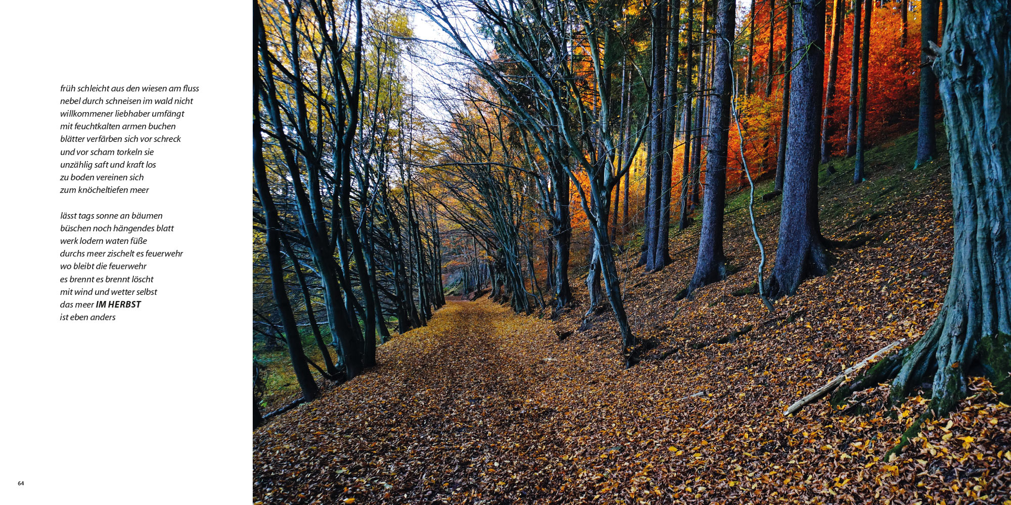 Zauber Zeichen: Im Herbst . Ursula Schütt Texte . Günter Giese Fotografie (Gestaltung: Edition Sinnbild Designakut 2017)