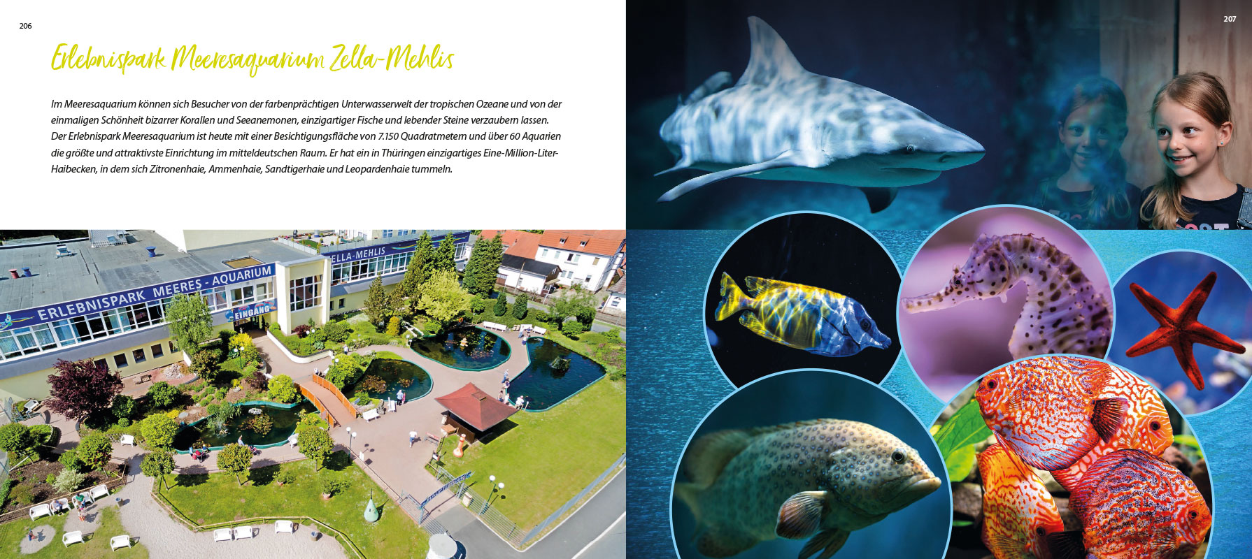 2022-suhl-buch-bernd-schepeler-206-207 Bernd Schepeler: Suhl - ein Plädoyer für meine Stadt: Meeresaquarium Zella-Mehlis (Fotos: Meeresaquarium, Jens Gutberlet, Gestaltung: design.akut.zone 2022)