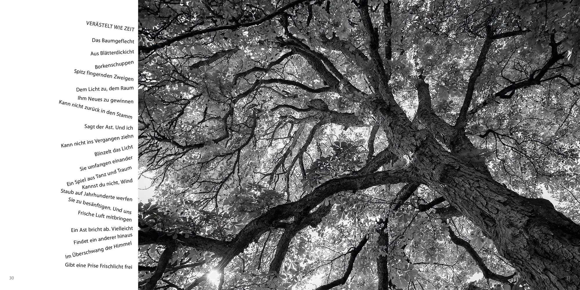 Buch: LichtKlang . Günter Giese Fotografie, Holger Uske Gedichte: Verästelt wie Zeit (Edition Sinnbild, Gestaltung: Designakut 2023)