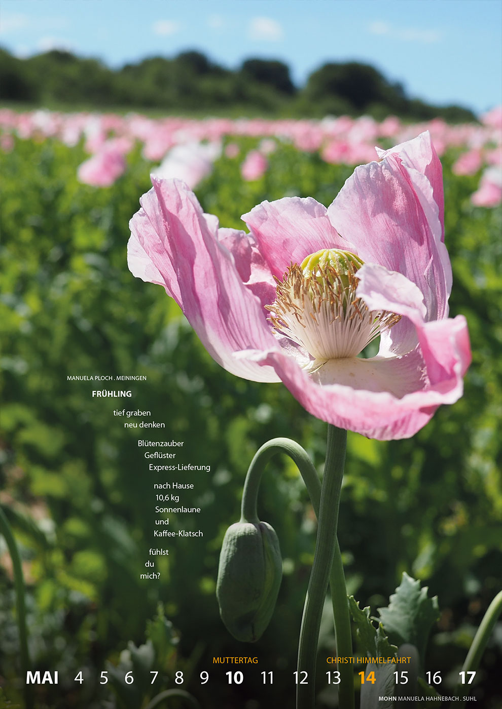 Literaturkalender Thüringer Ansichten 2026: Manuela Ploch: Frühling | Manuela Hahnebach: Mohn (Gestaltung: Designakut 2025)